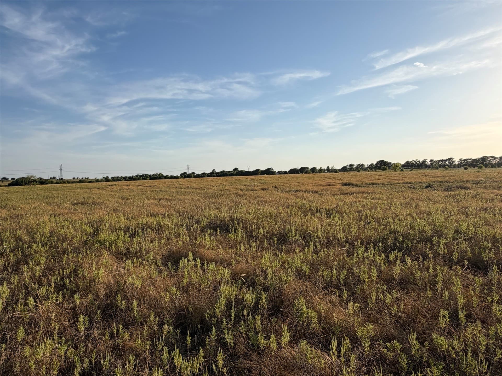 24.59 acres in Denton County - photo 2