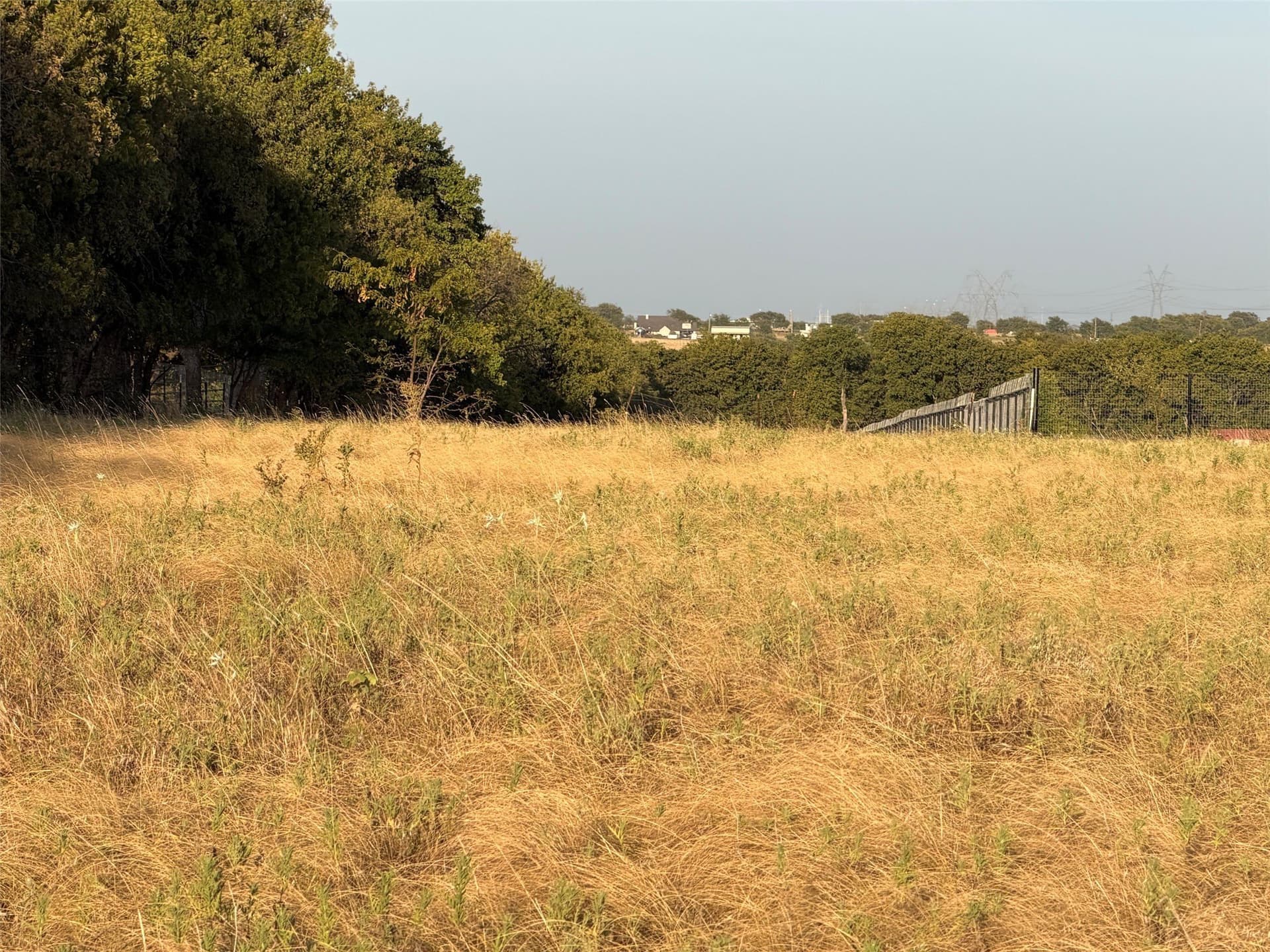 24.59 acres in Denton County - photo 14