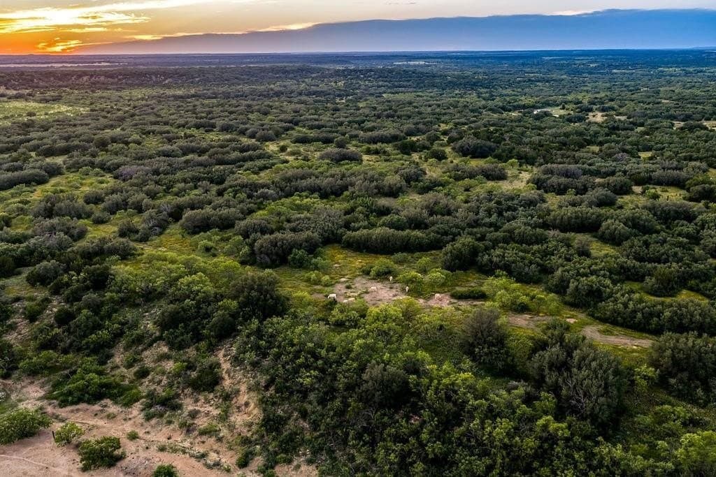419.55 acres in Coleman County - photo 25