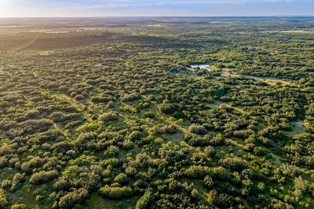 419.55 acres in Coleman County - photo 31
