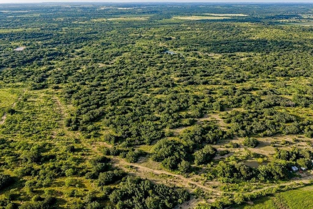 419.55 acres in Coleman County featured view