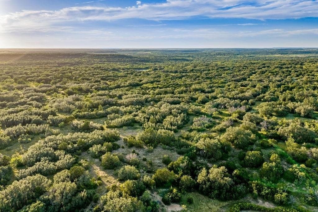 419.55 acres in Coleman County - photo 9