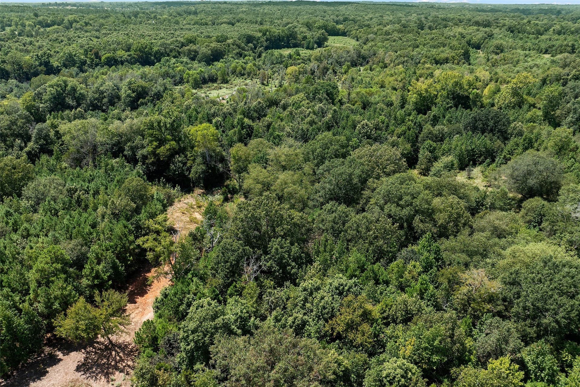 73.5 acres in Morris County - photo 14