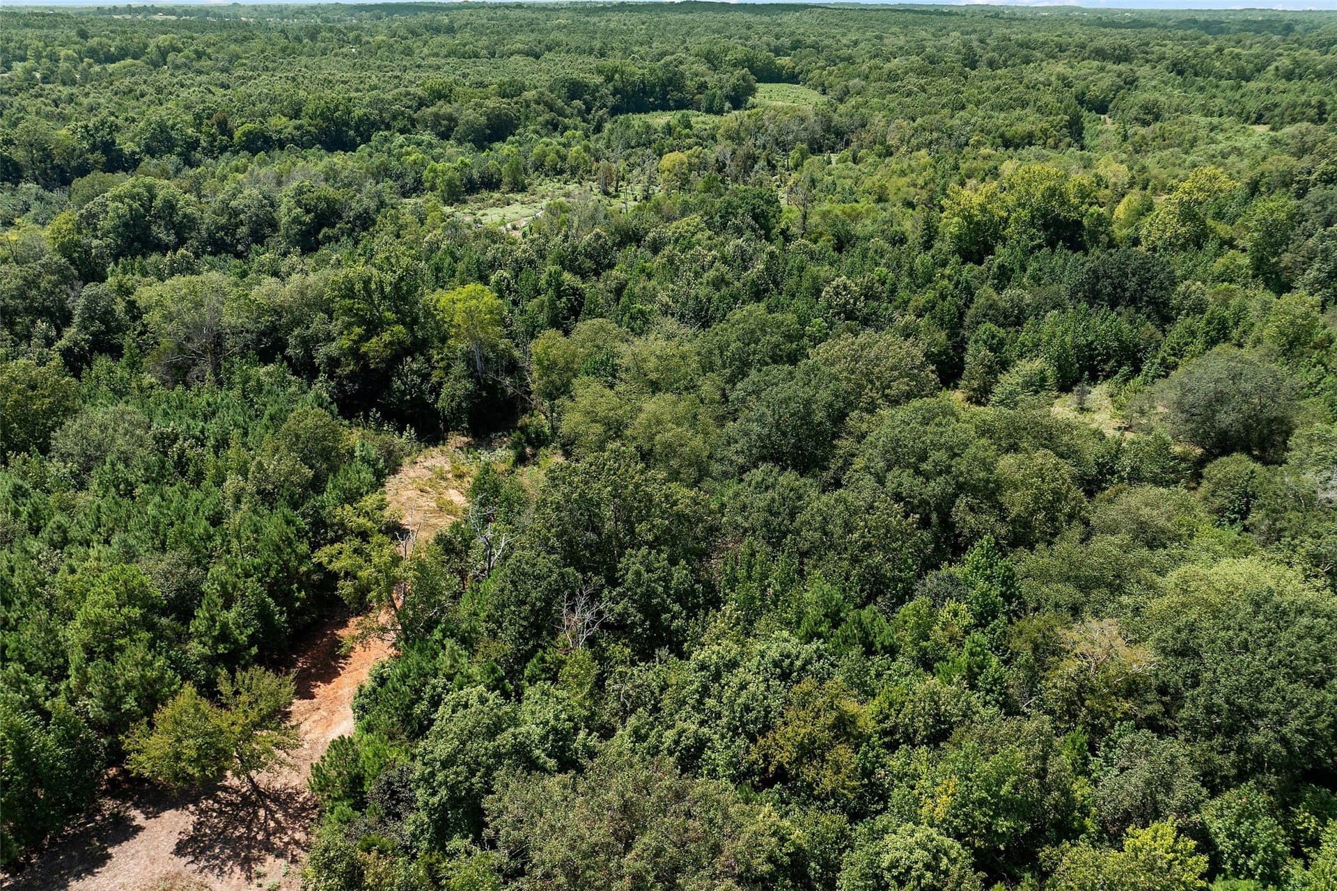 73.5 acres in Morris County - photo 13