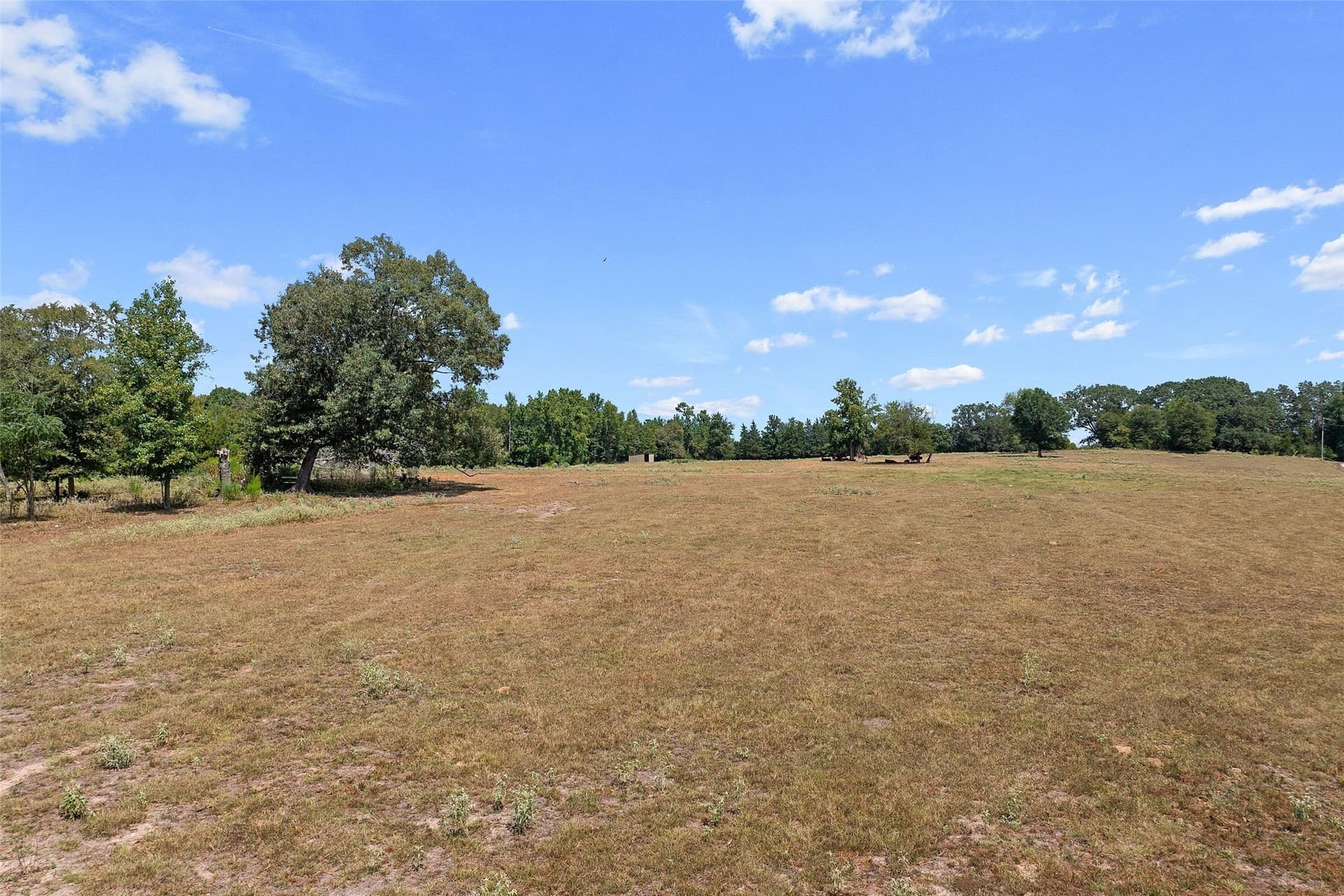 73.5 acres in Morris County - photo 7