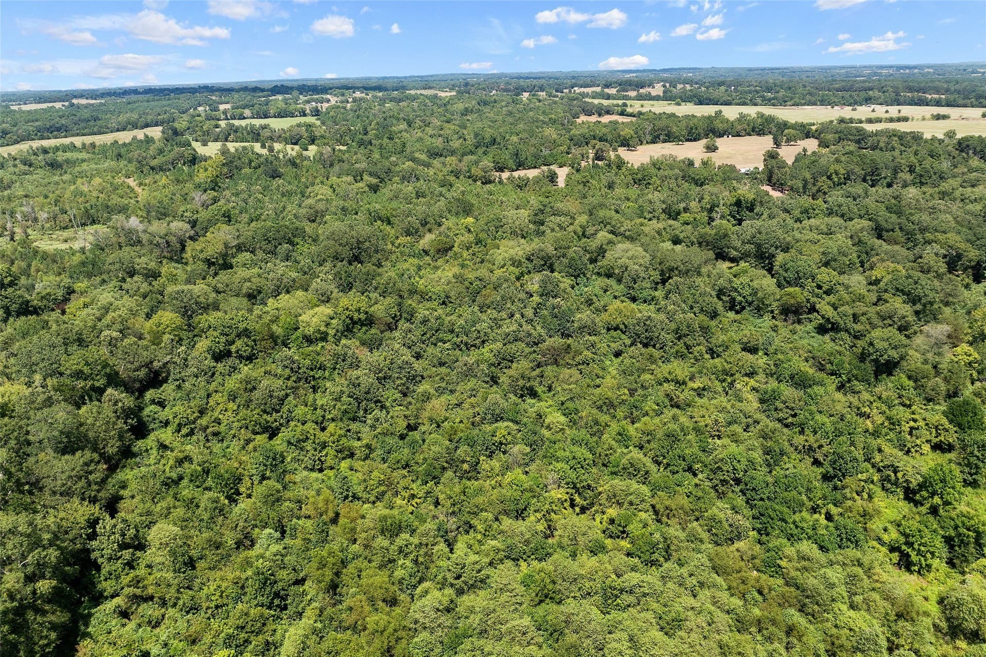 73.5 acres in Morris County - photo 16