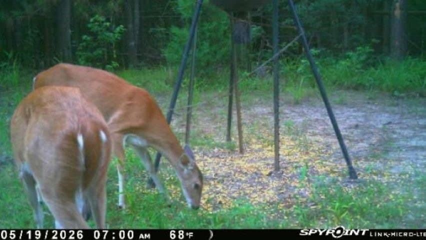 73.5 acres in Morris County - photo 3