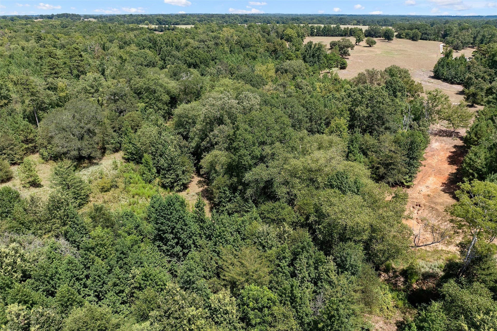 73.5 acres in Morris County - photo 15