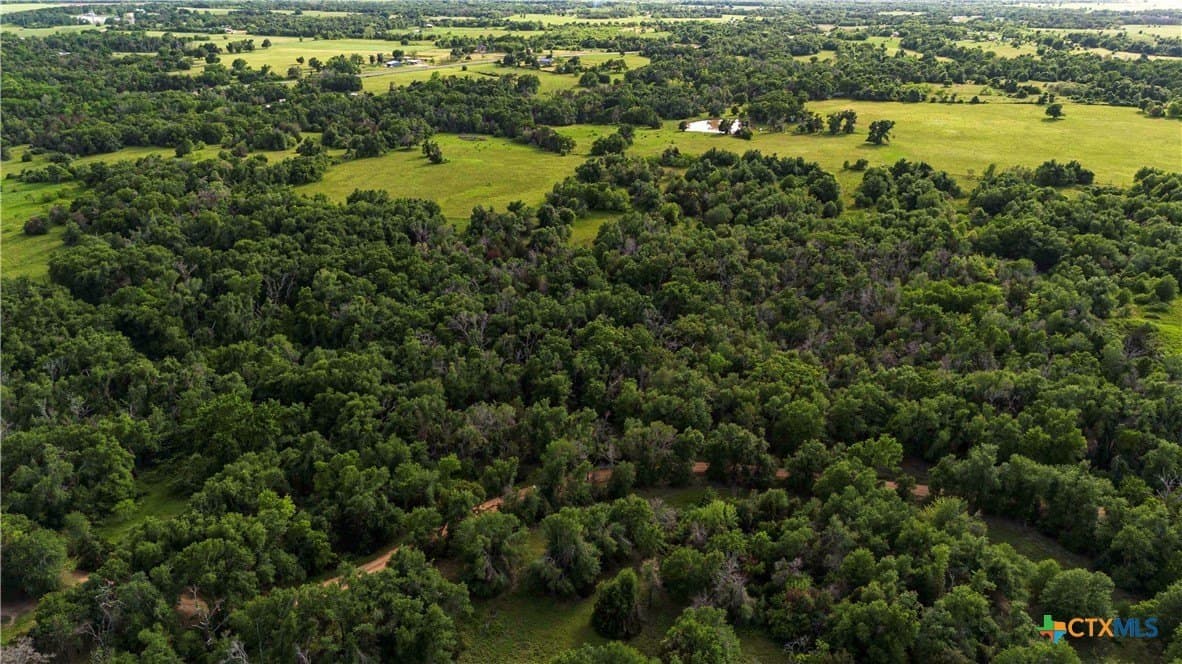 47.5 acres in Milam County - photo 3