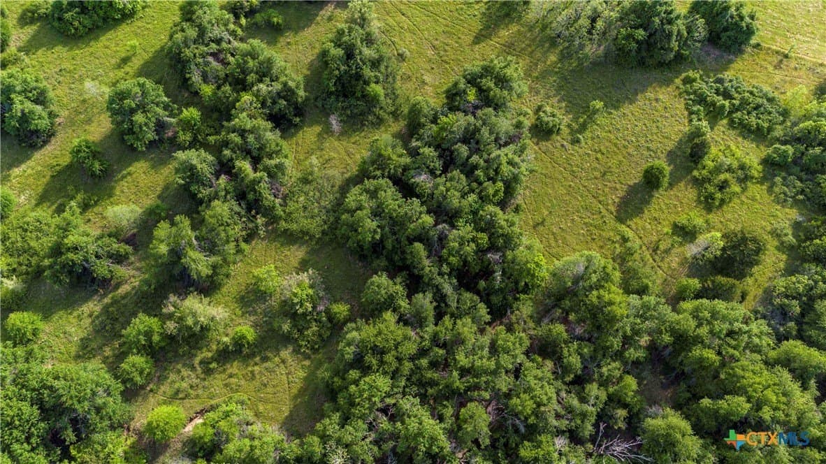 47.5 acres in Milam County - photo 4