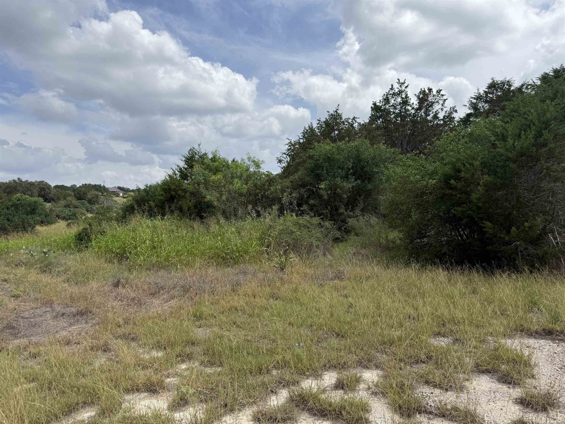 0.2 acres in Burnet County gallery image 2