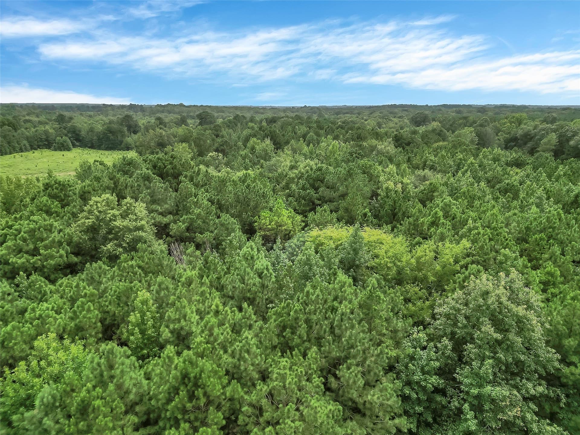 10.73 acres in Harrison County - photo 15