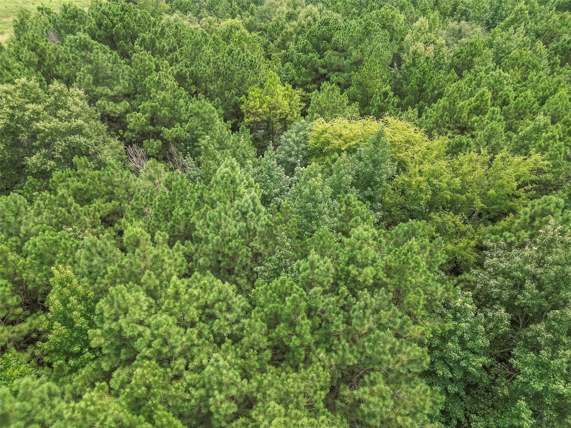 10.73 acres in Harrison County - photo 16