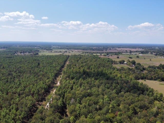 10 acres in Texas County gallery image 3