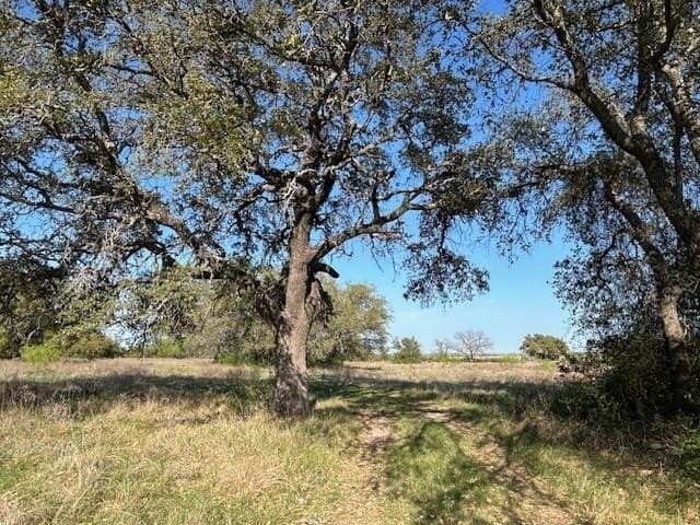 219.13 acres in Mills County gallery image 4