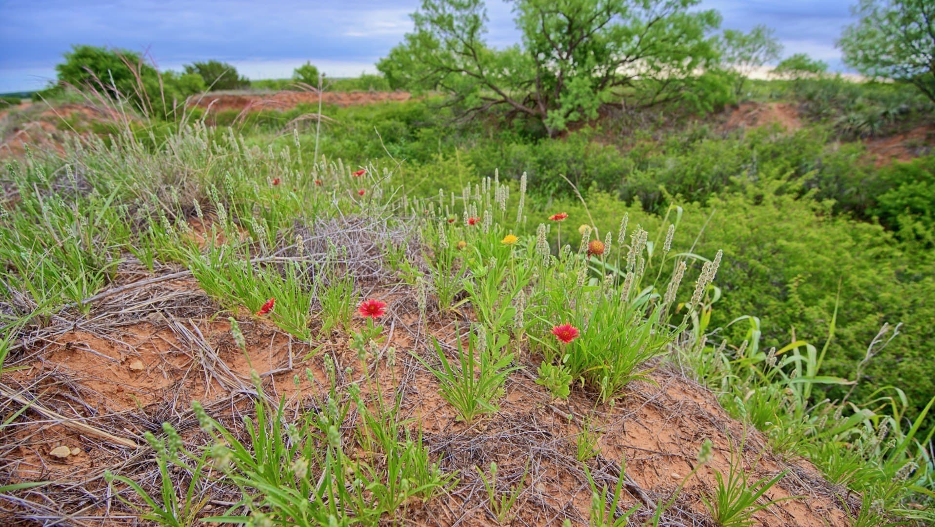 343 acres in Knox County - photo 17