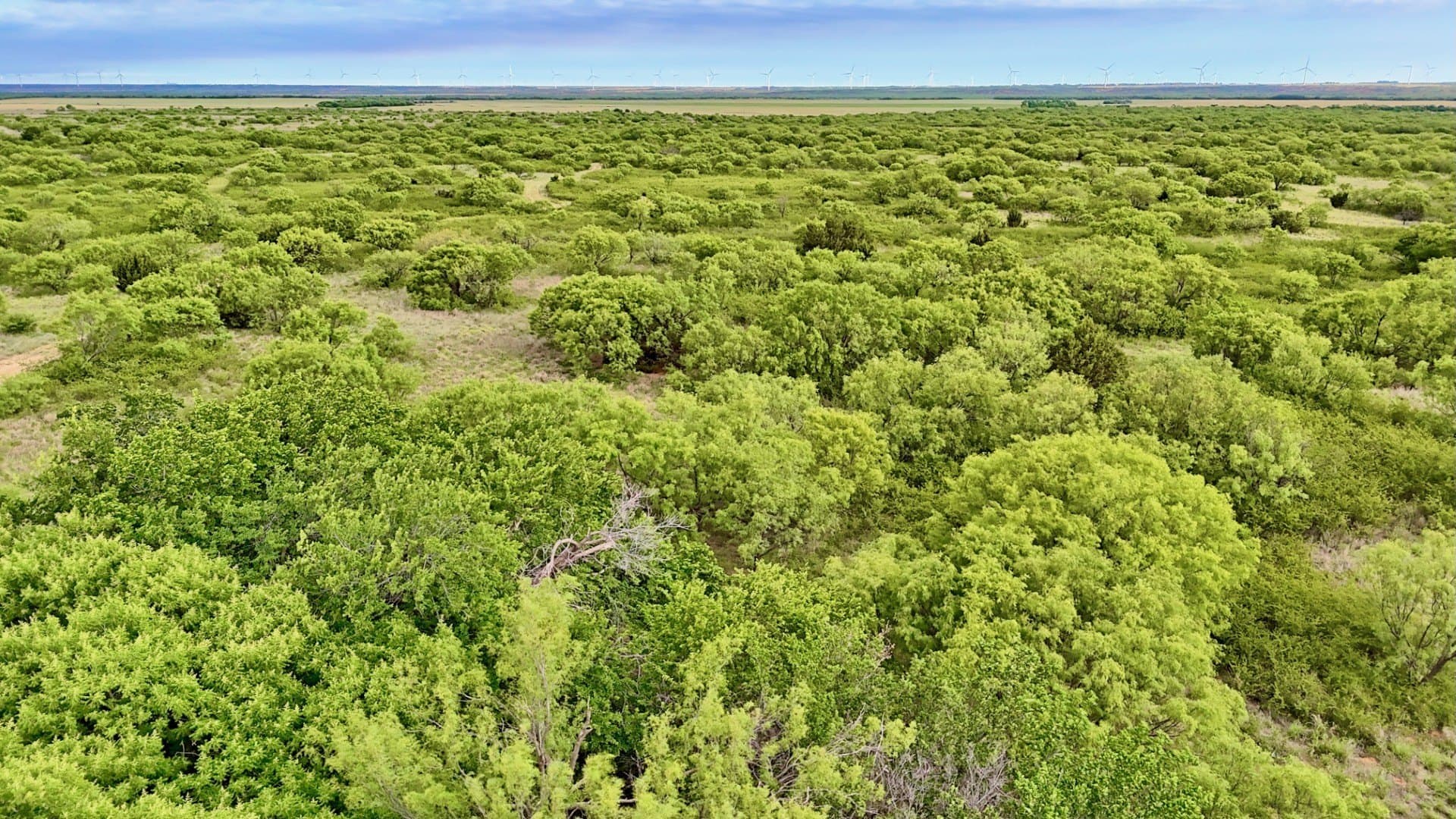 343 acres in Knox County - photo 16