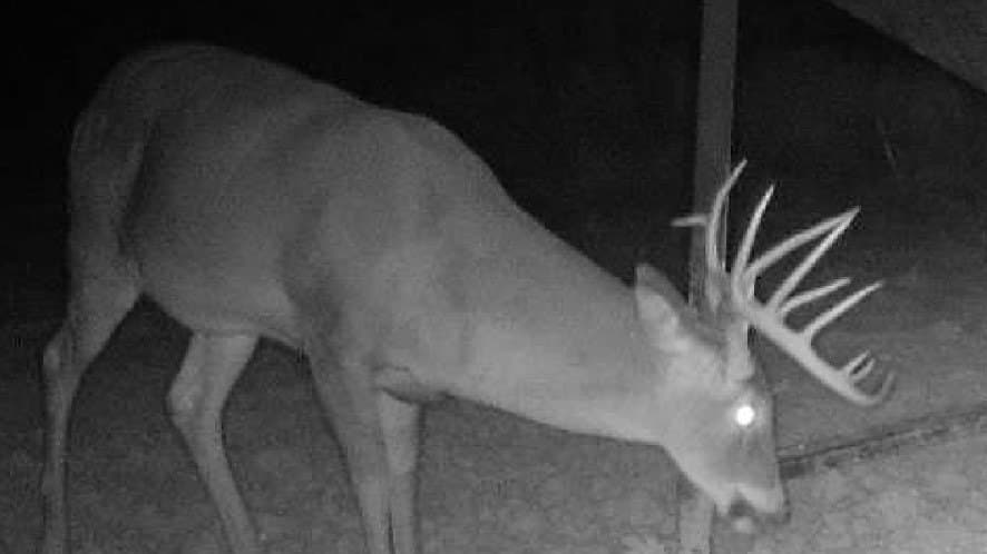 343 acres in Knox County - photo 31