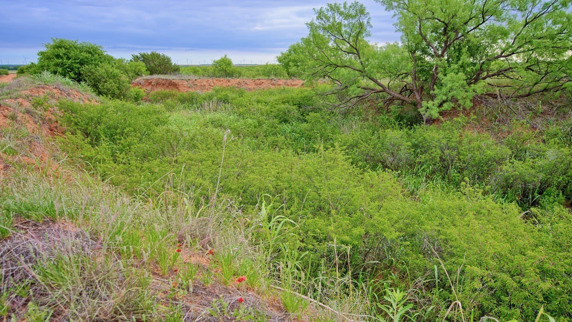 343 acres in Knox County - photo 18