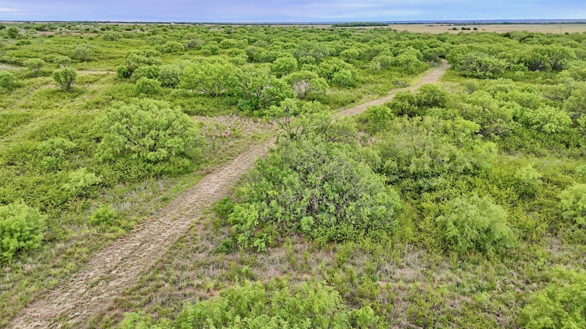 343 acres in Knox County - photo 11
