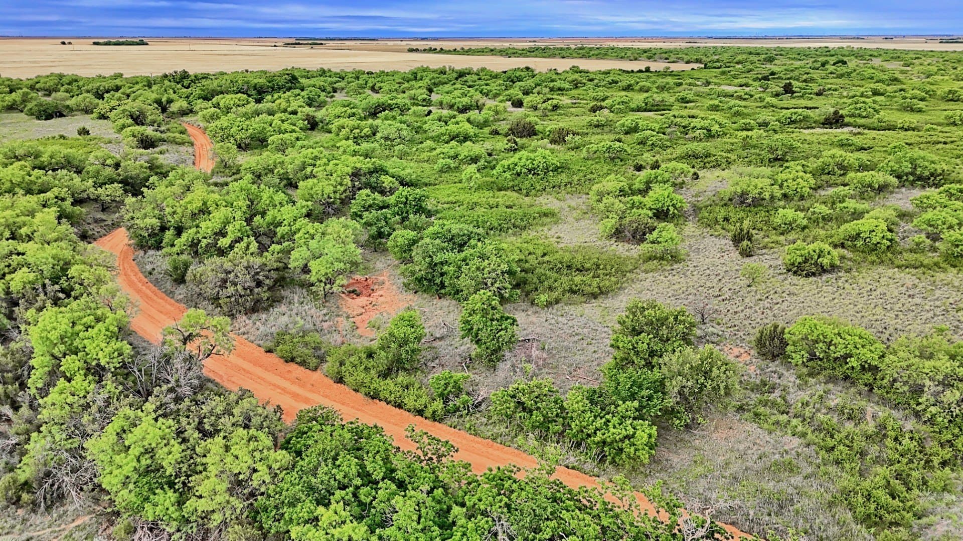 343 acres in Knox County - photo 4