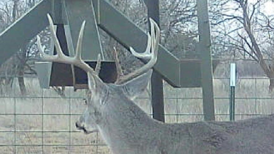 343 acres in Knox County - photo 36