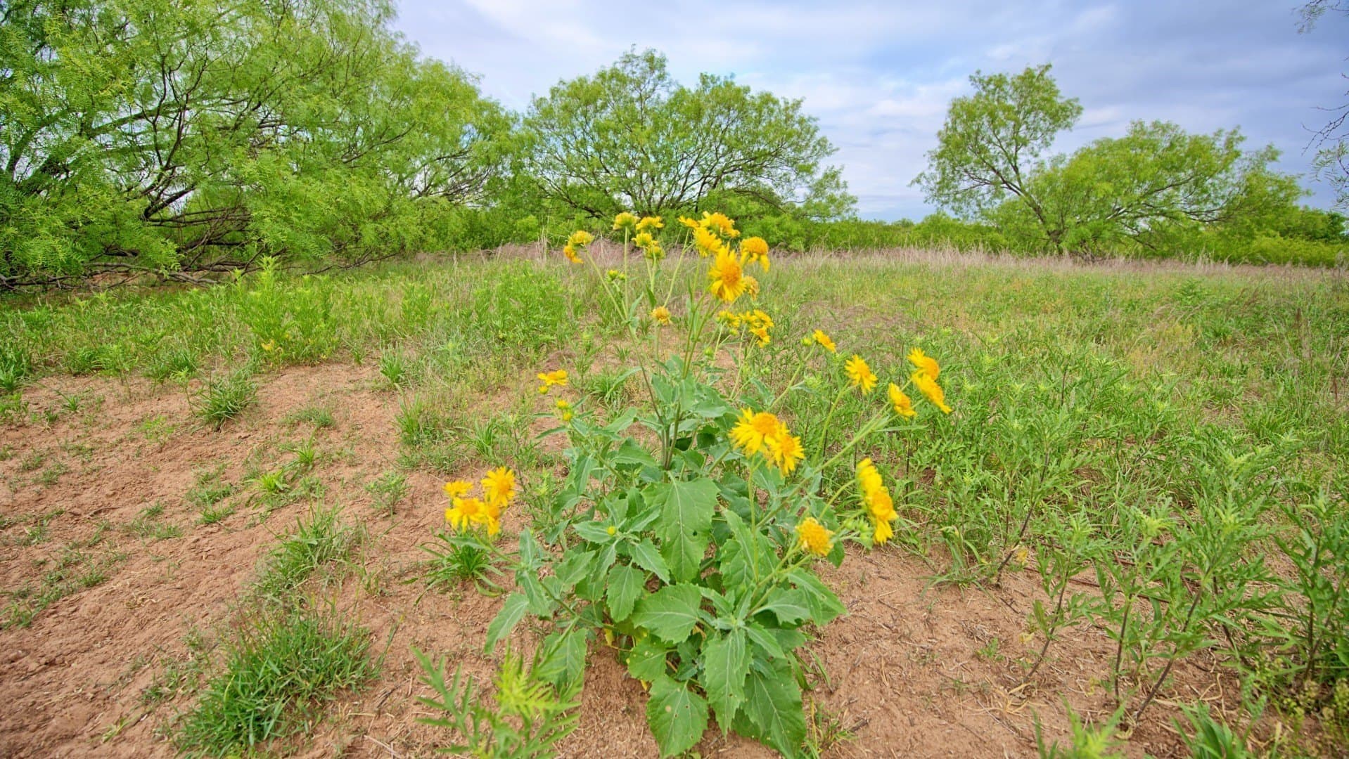343 acres in Knox County - photo 13