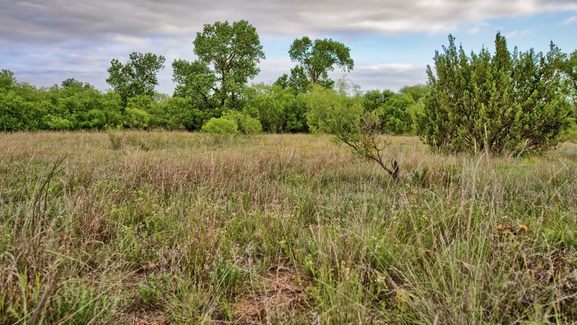 343 acres in Knox County - photo 14