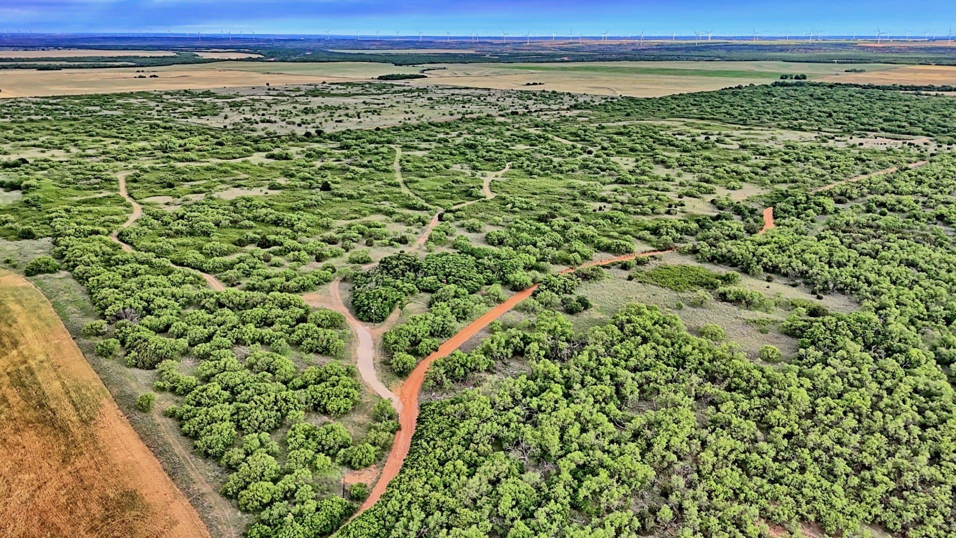 343 acres in Knox County - photo 9