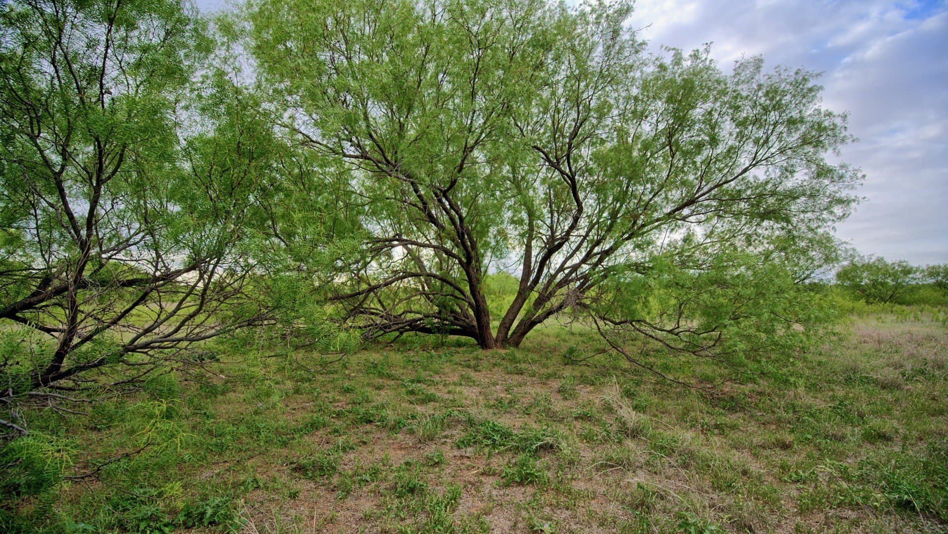 343 acres in Knox County - photo 27