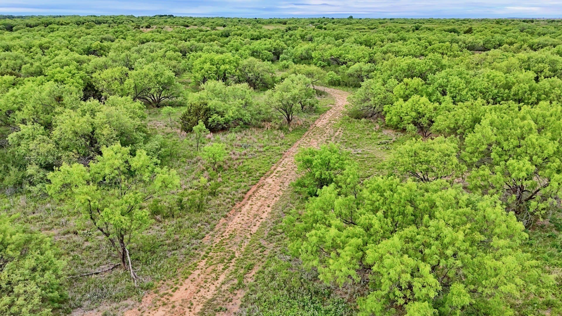 343 acres in Knox County - photo 12