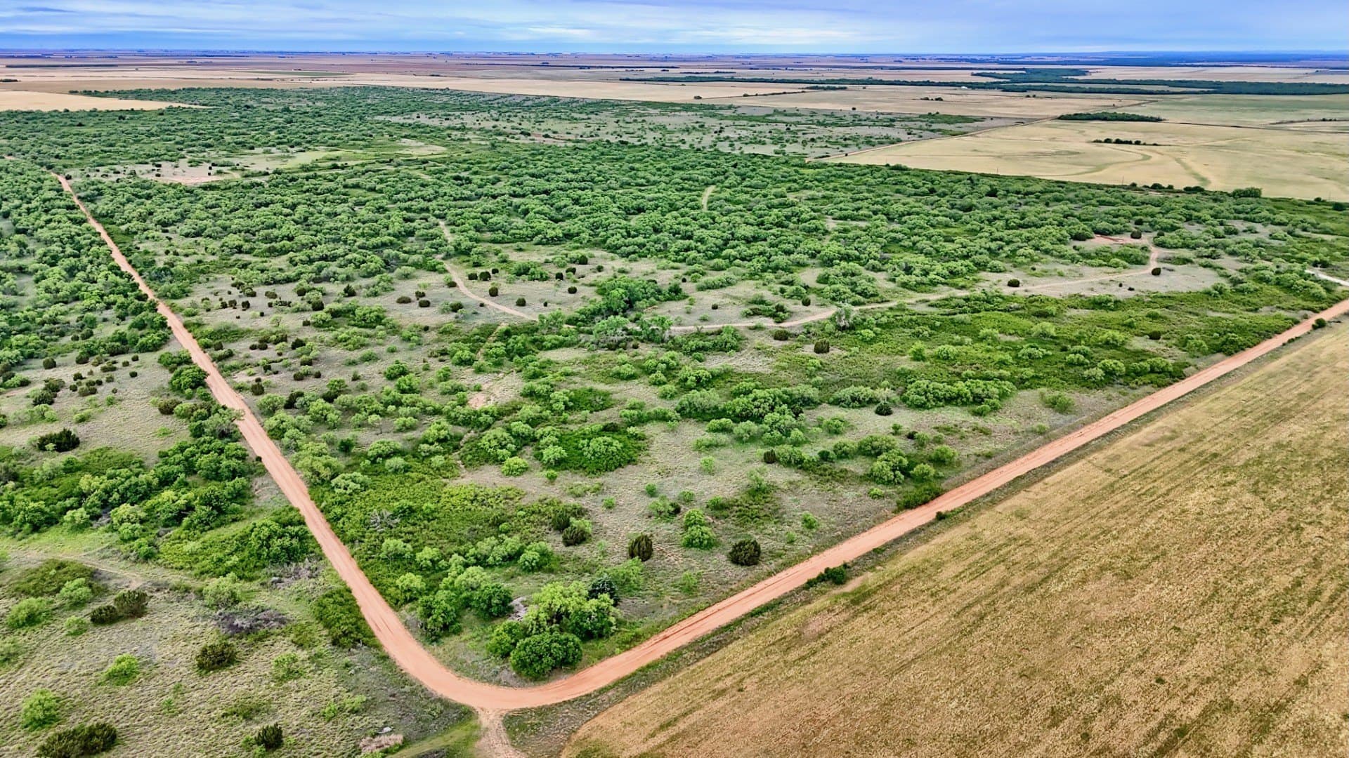 343 acres in Knox County - photo 5