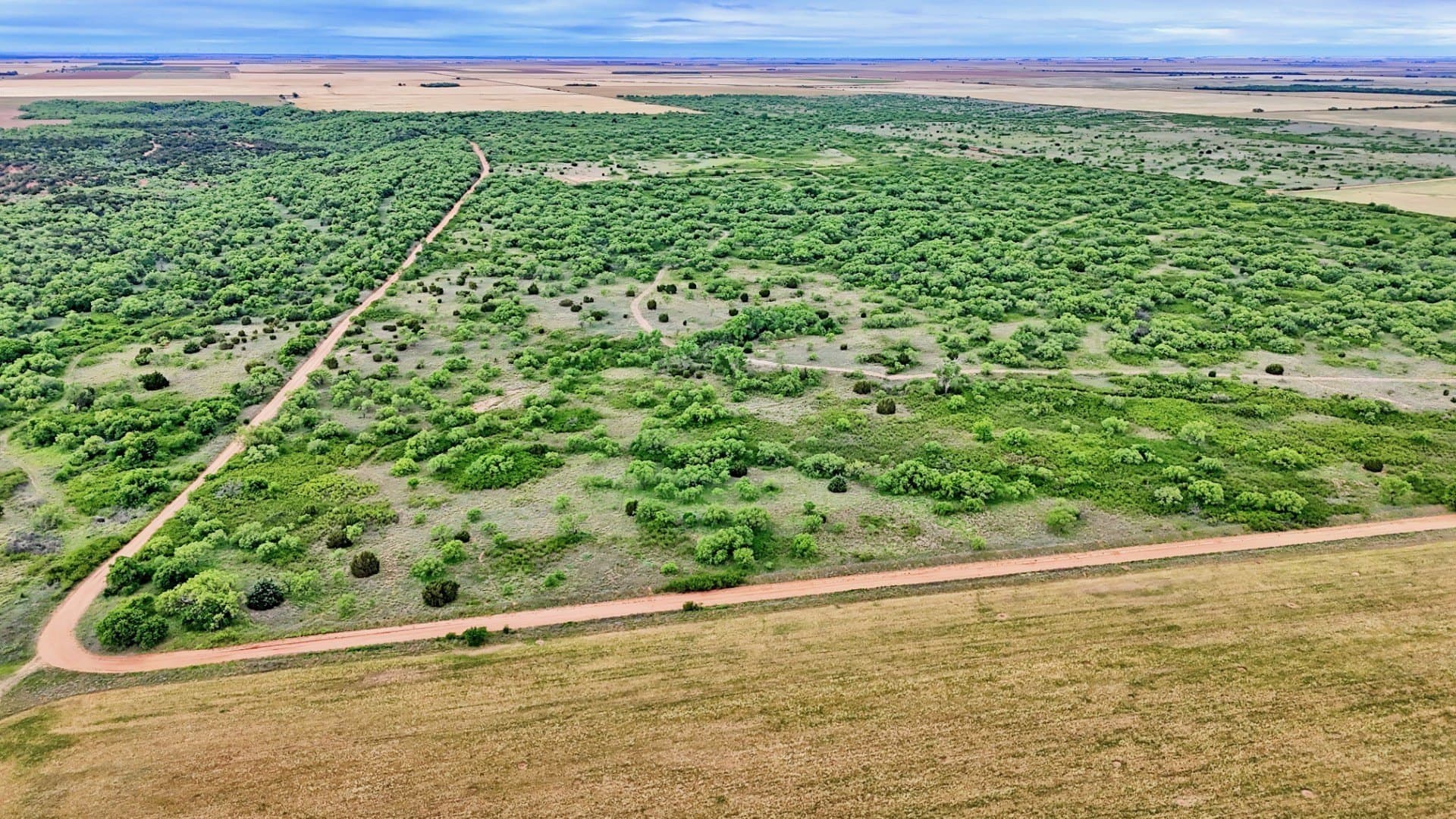 343 acres in Knox County - photo 10