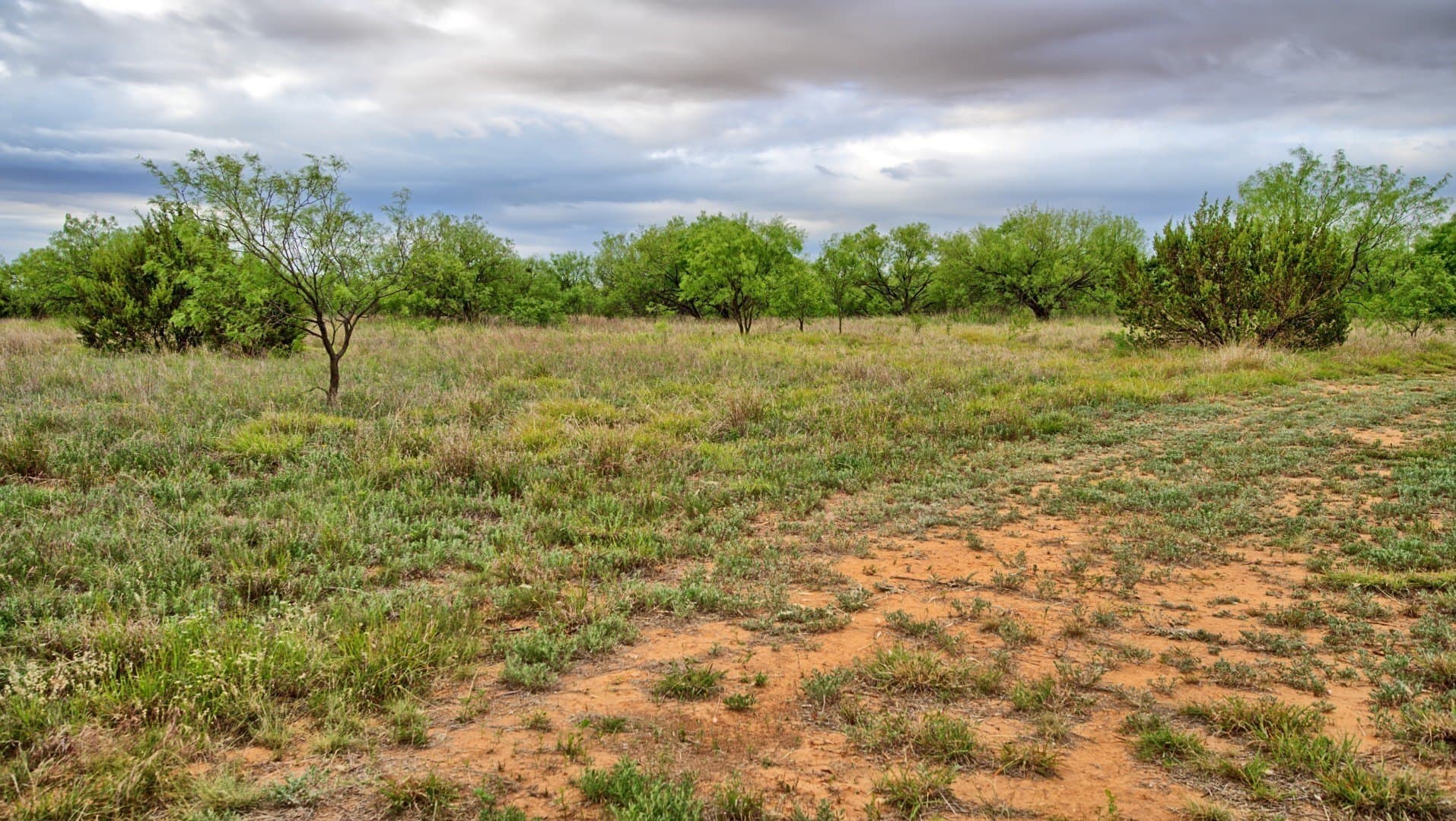 343 acres in Knox County - photo 15