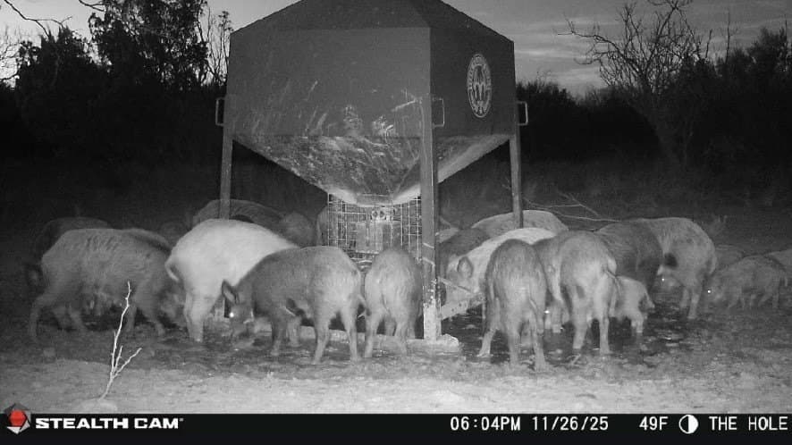 343 acres in Knox County - photo 34