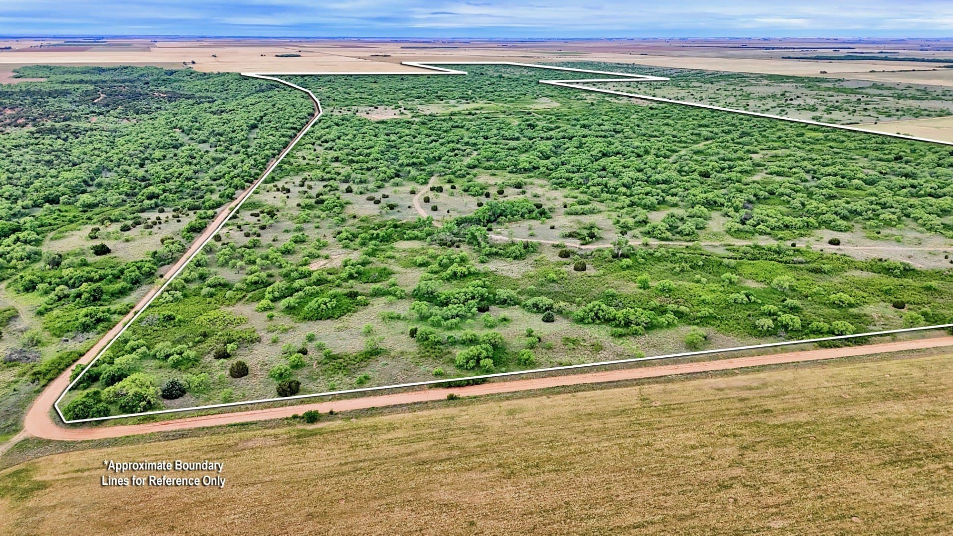 343 acres in Knox County - photo 29