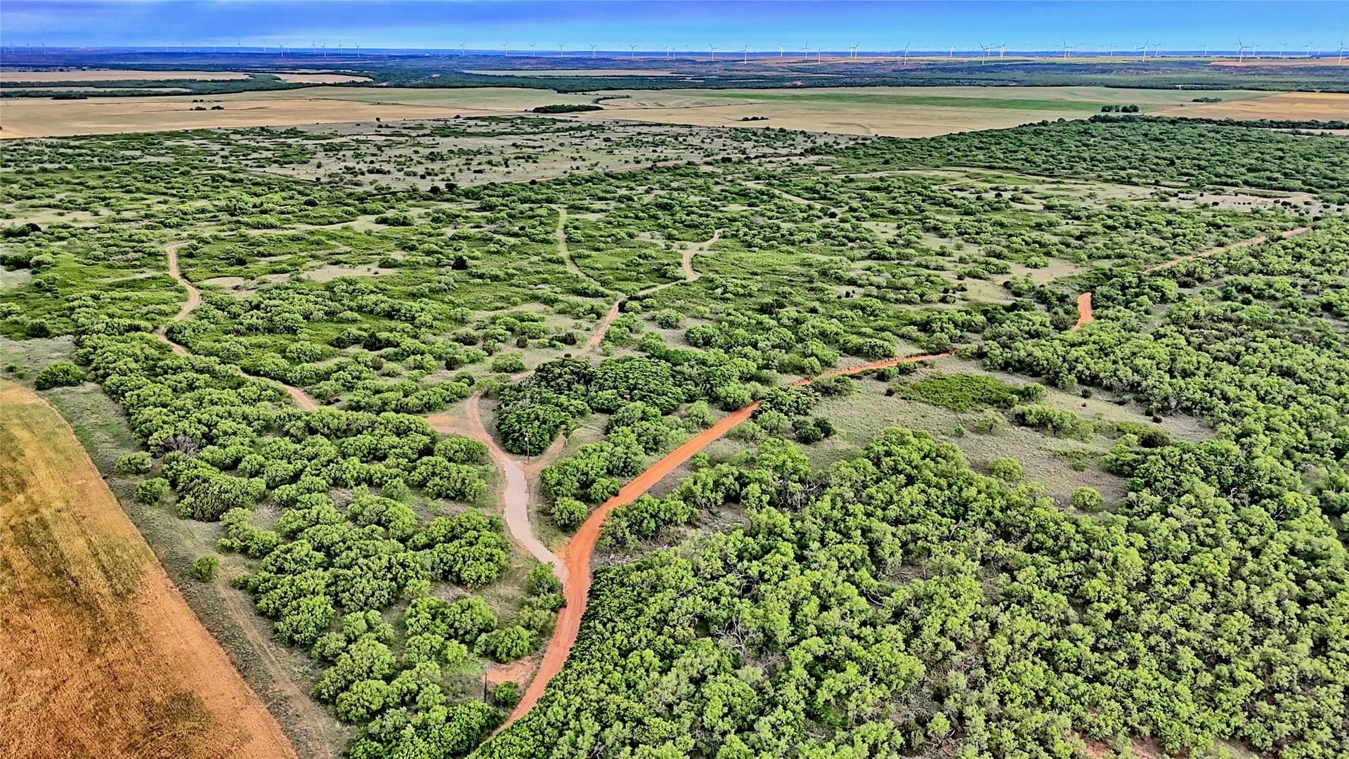 343 acres in Knox County - photo 8