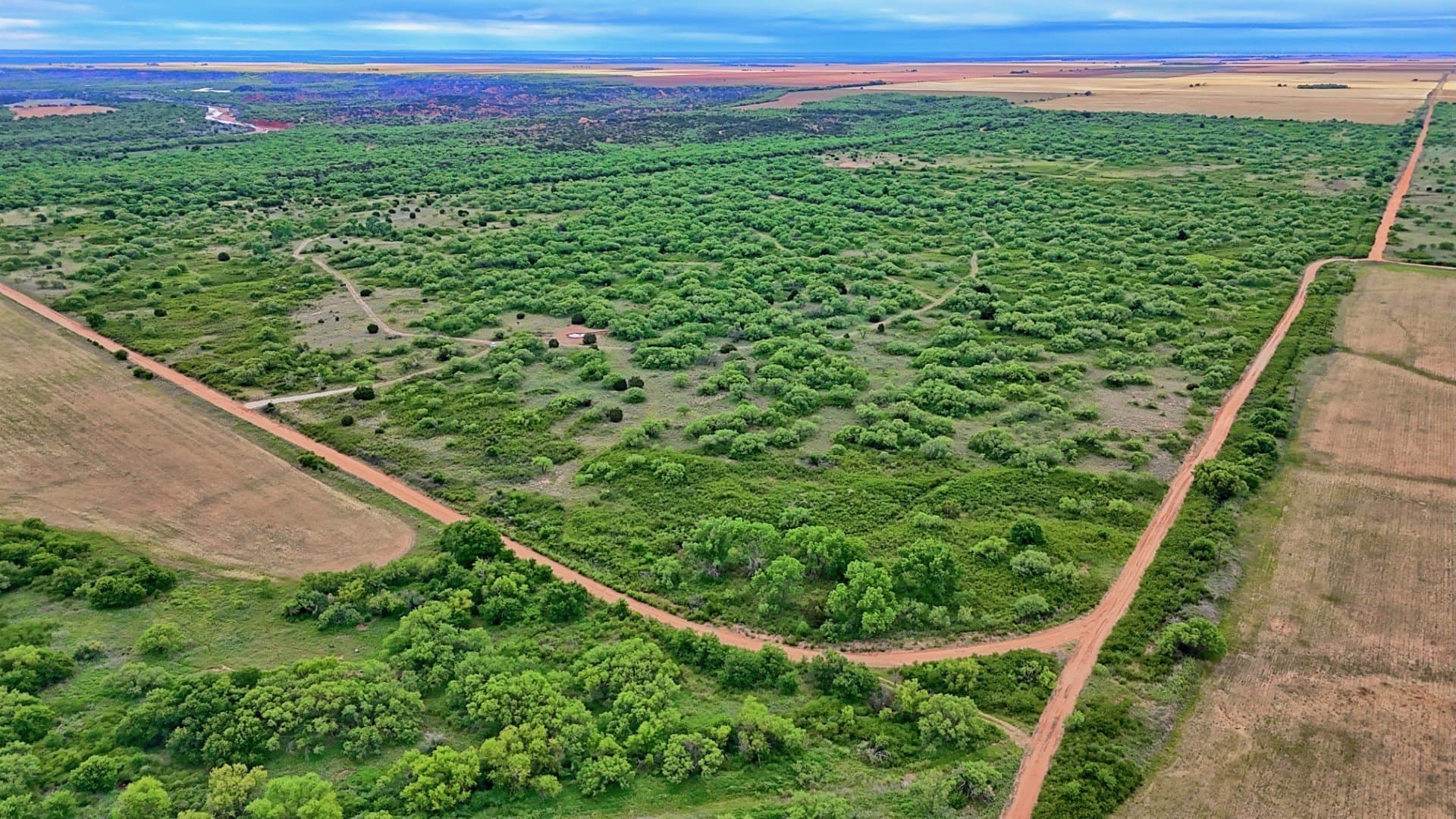 343 acres in Knox County - photo 6