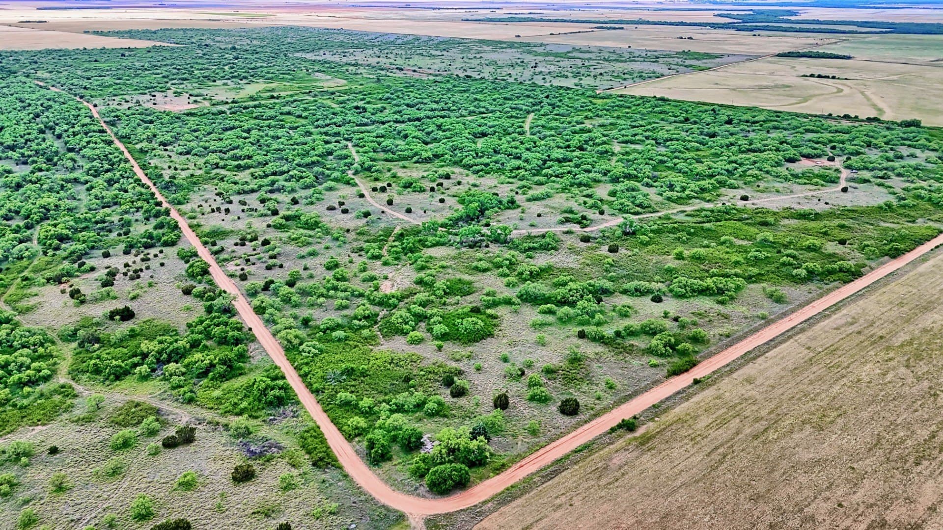 343 acres in Knox County - photo 7