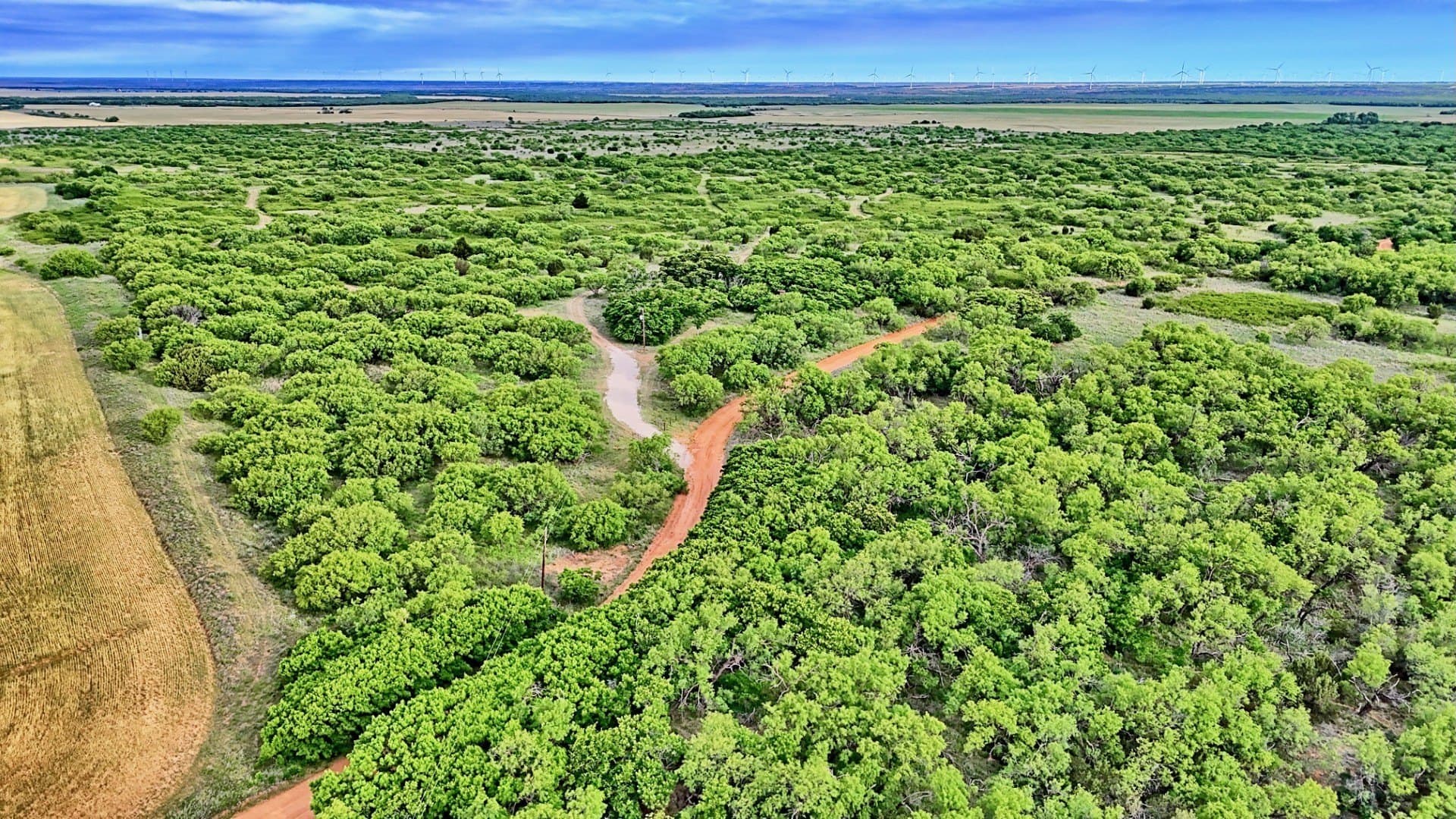 343 acres in Knox County - photo 3