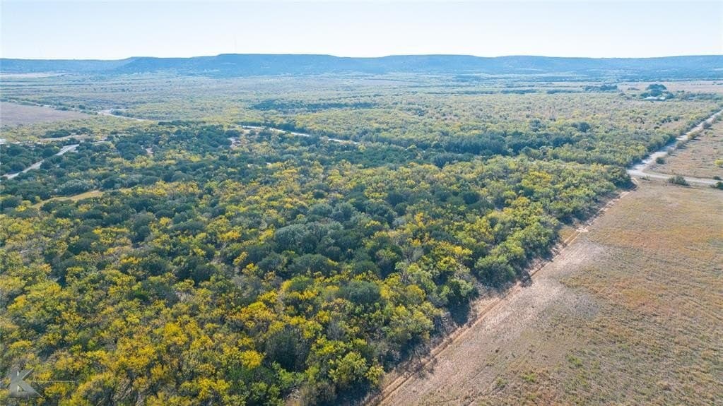 26 acres in Taylor County gallery image 4