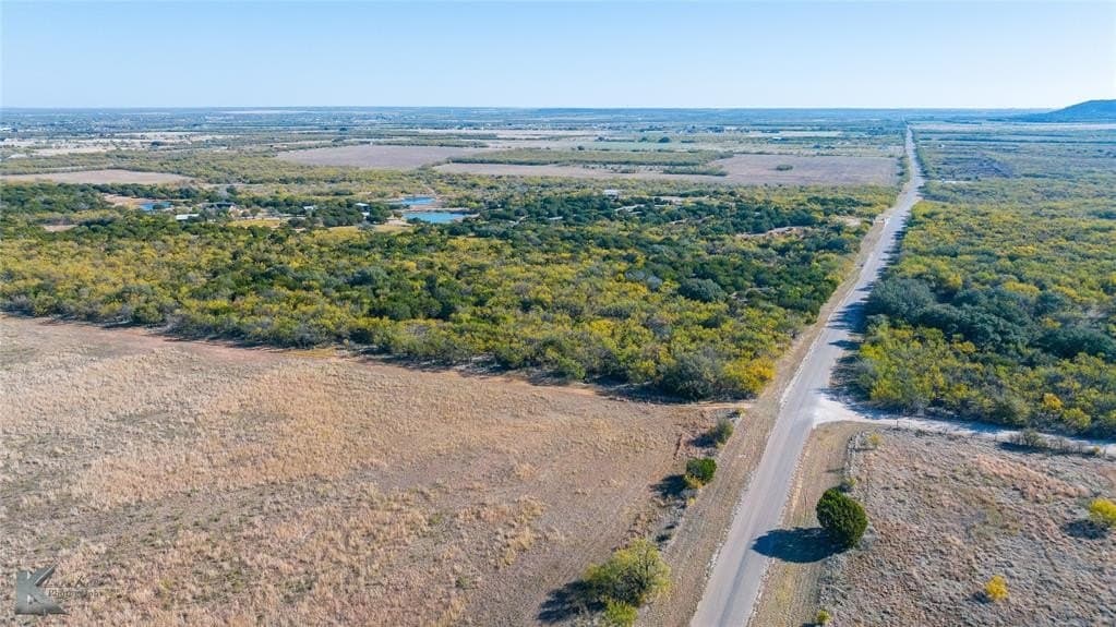 26 acres in Taylor County gallery image 3