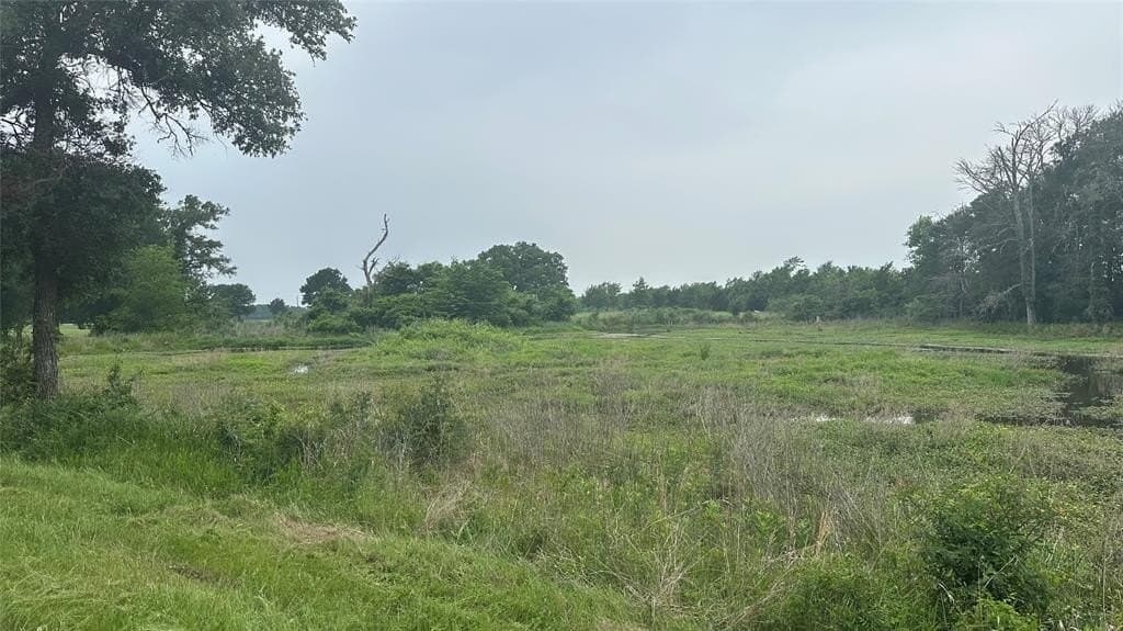 7.55 acres in Limestone County gallery image 4