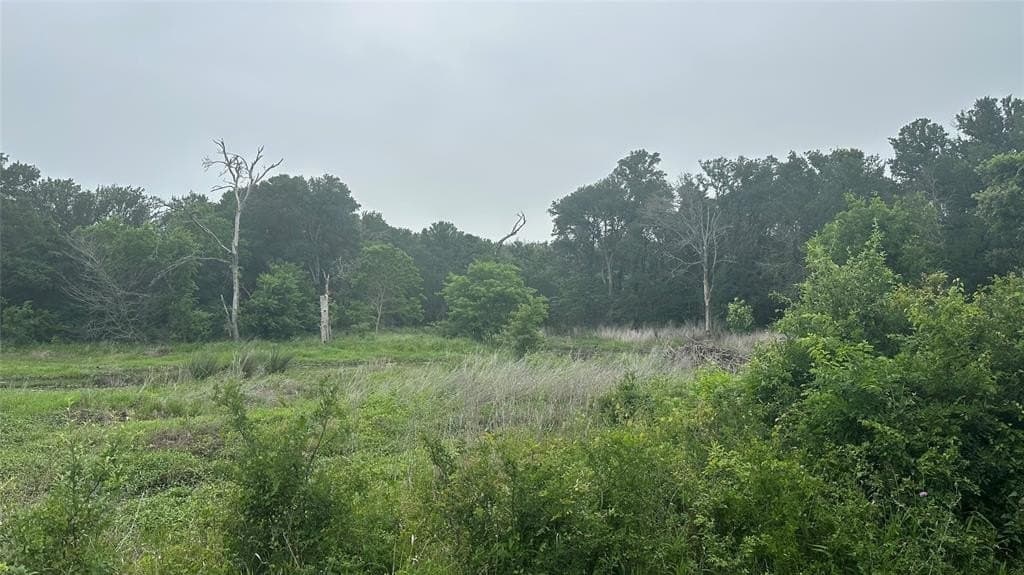 7.55 acres in Limestone County gallery image 3