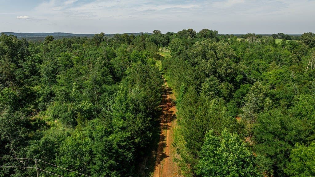 6.19 acres in Texas County featured view