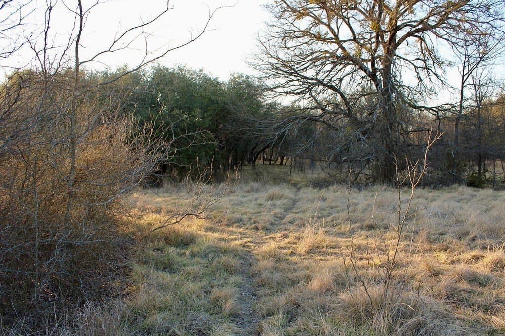 10.01 acres in Comanche County - photo 8