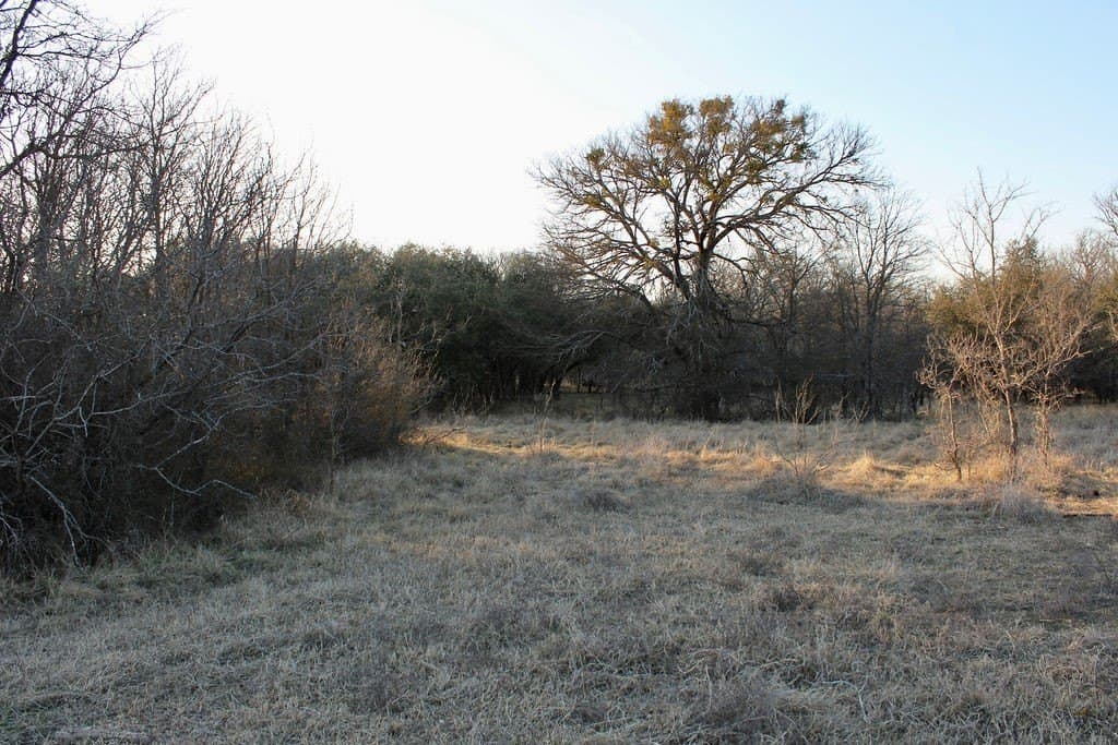 10.01 acres in Comanche County featured view
