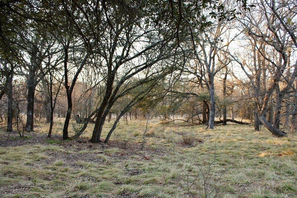 10.01 acres in Comanche County - photo 23