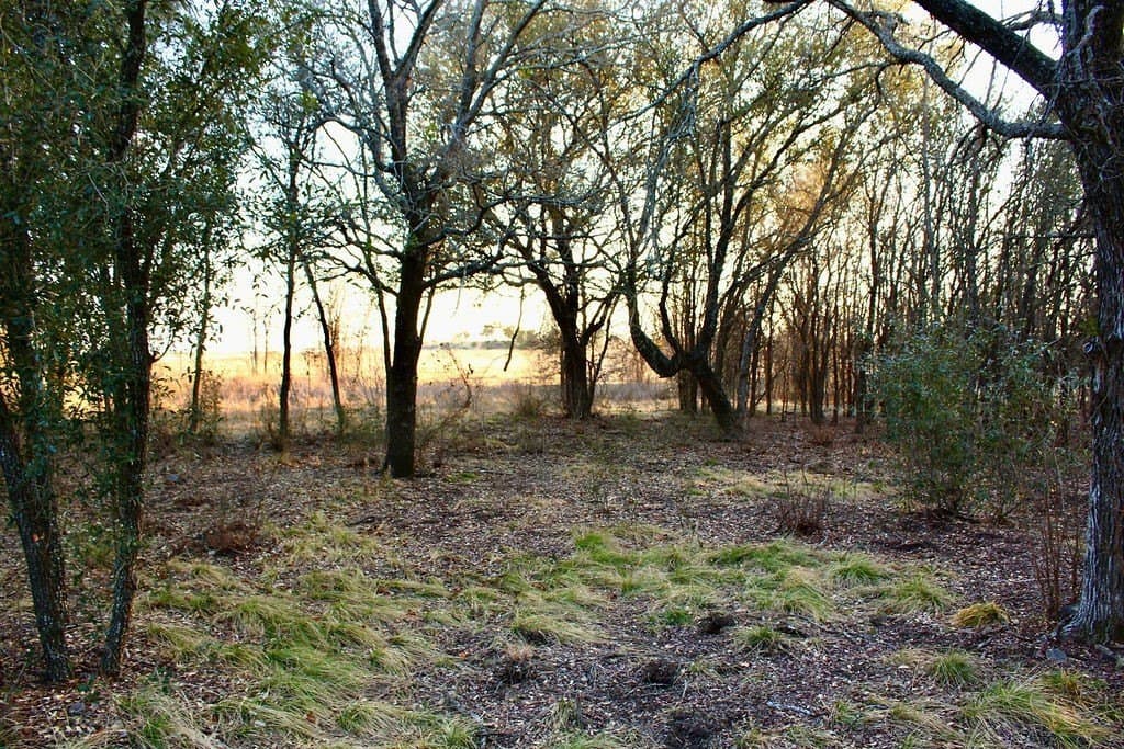 10.01 acres in Comanche County - photo 13