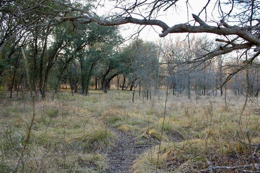 10.01 acres in Comanche County - photo 6